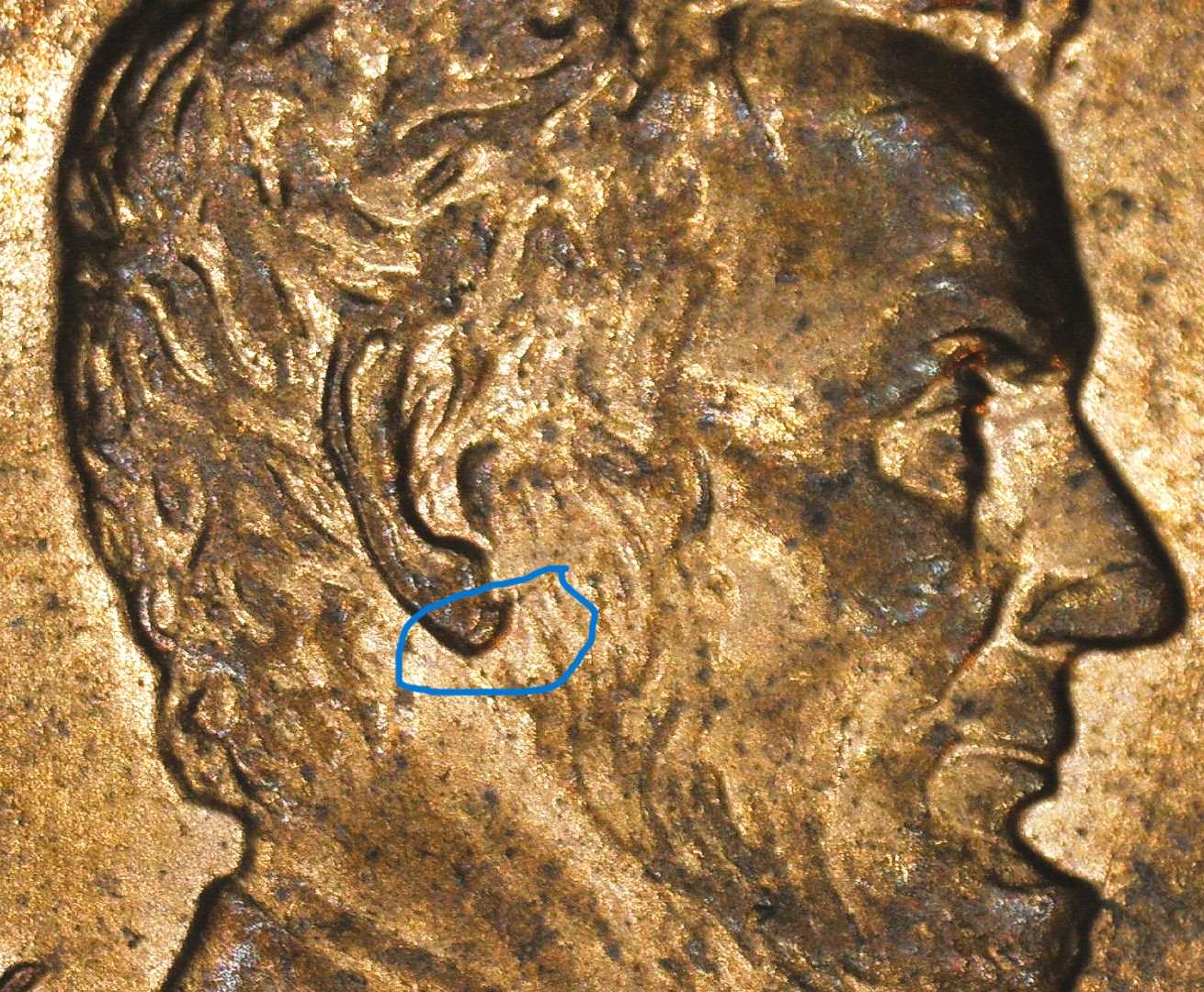 2008-Lincoln-Cent,-Possible-Double-Ear?